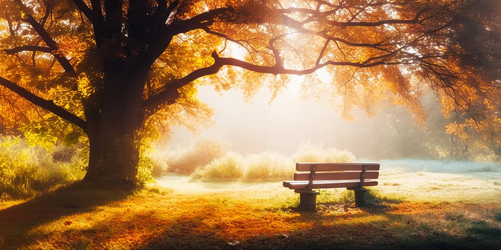 Autumn Prayer Morning – Sat., Nov. 11, 8:30-Noon – Contemplative ...