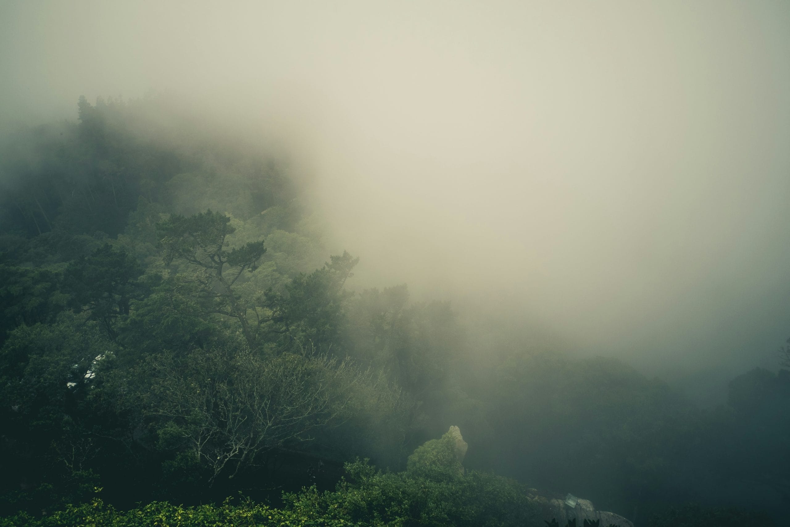 Aperture vintage dg0ur 6vhd4 unsplash