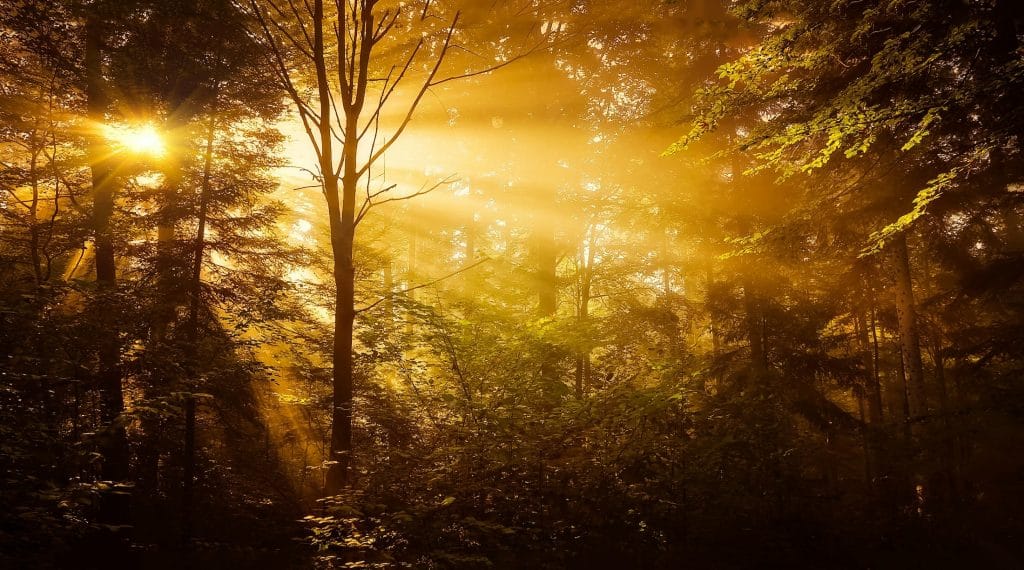 A Centering Prayer Follow-Up & Renewal Gathering