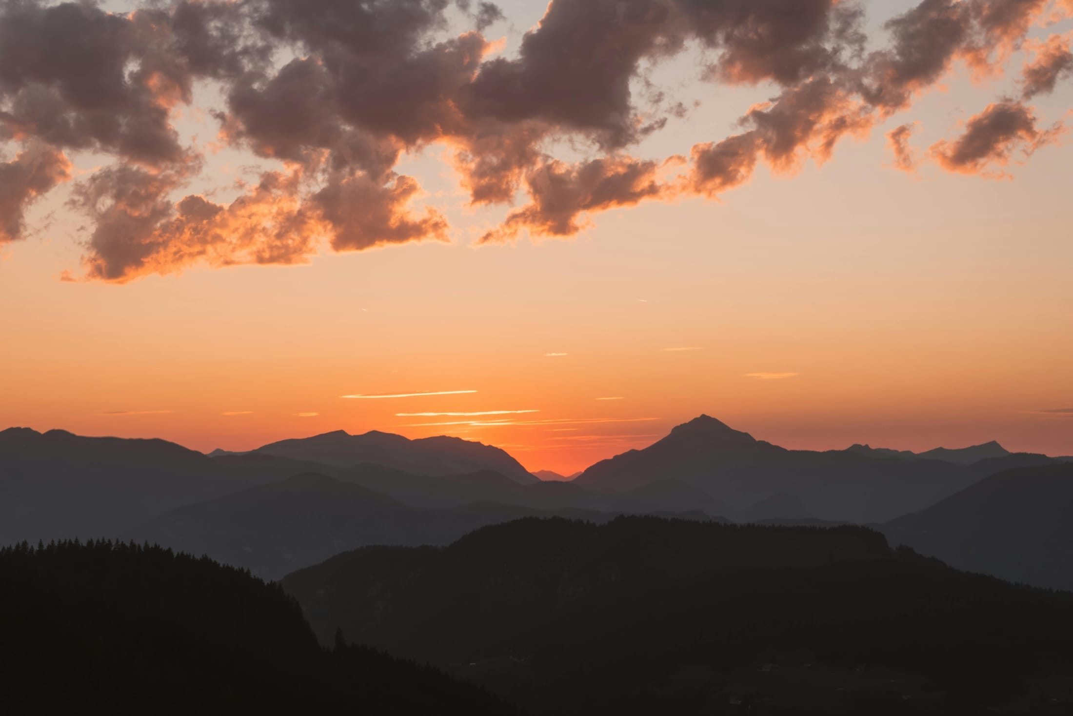 Pexels ahmetyuksek 33874478